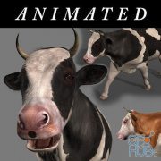 CGTrader – Top Cow – 3d model