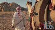 MotionArray – Bedouin Crossing The Desert With A Camel 781992