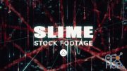 Triune Digital – Slime Stock Assets