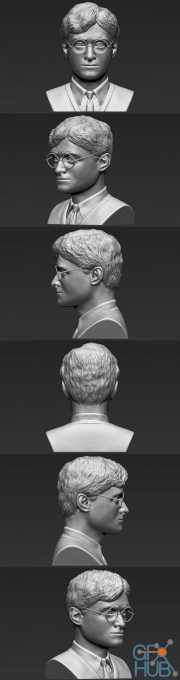 Harry Potter Bust - 3D Print