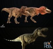 Tyrannosaurus Rex 2 (PBR)