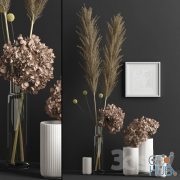 Decor with dry flowers