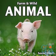 Sound Ideas - Farm & Wild Animal Sound Effects
