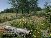 Unity Asset – Meadow Environment – Dynamic Nature v.2.2f1