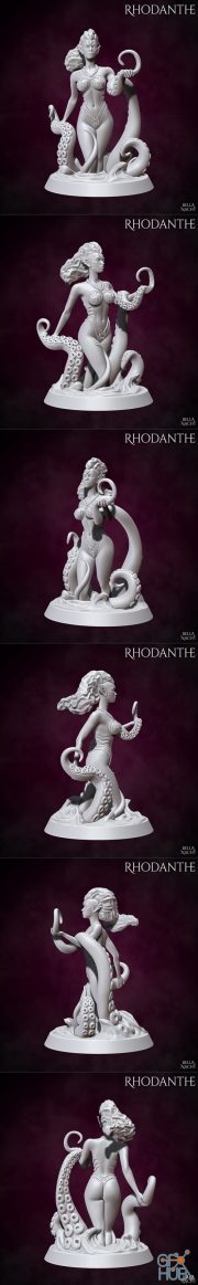 Rhodanthe – 3D Print