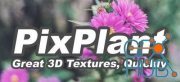 PixPlant 5.0.38 Win