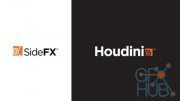 SideFX Houdini FX 16.5.536 Win x64