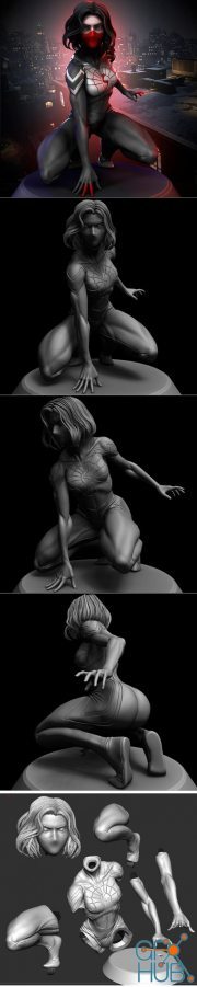 Silk - Spider Man Cindy Moon – 3D Print