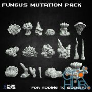 500 subscriber bonus Fungus Collection – 3D Print