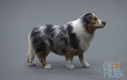 The Gnomon Workshop – Realistic Dog Grooming for Production with XGen with Jordan Soler