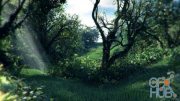 The Gnomon Workshop – Grass and Plant Instancing in Maya/Mental Ray Forests Techniques, part Two with Alex Alvarez