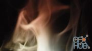 MotionArray – Silky Incense Smoke 1025457