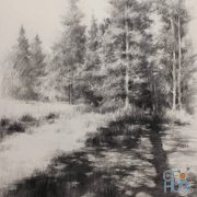 Watts Atelier – Drawing the Landscape from Photos in Charcoal