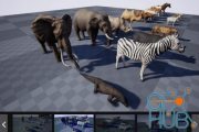 Unreal Engine Marketplace – Animal Pack Ultra 2