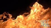 MotionArray – Overwhelming Fire 477799