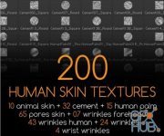 Gumroad – 200 Human Skin Textures