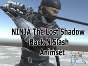 Unity Asset – Ninja Animset
