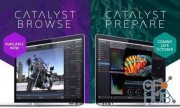 Sony Catalyst Browse / Prepare Suite 2021.1 Win x64