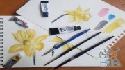 Skillshare - How to Paint Easy Watercolor Daffodils