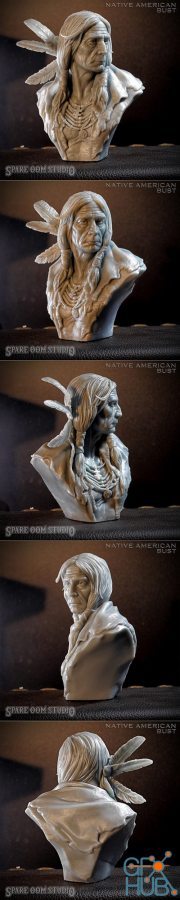 Native American Bust – 3D Print