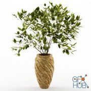 Fluted Vase with Green Branches