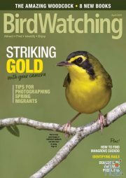 BirdWatching USA – March-April 2021 (PDF)