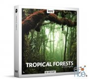 BOOM Library – Tropical Forests Stereo & Surround Edition