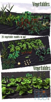 Renderosity – Vegetable Plants