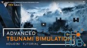 Advanced Tsunami Simulation