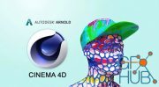 Arnold for CINEMA 4D C4DtoA v4.5.0.1 Win x64