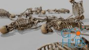 Unreal Engine – Modular Human Skeleton