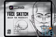 Envato – Face Skecth Brush For Procreate