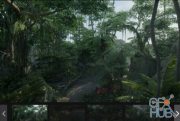 Unreal Engine Marketplace – Tropical Jungle Pack