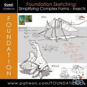 Gumroad – Foundation Patreon – Foundation Sketching: Simplifying Complex Forms – Insects with Charles Lin