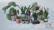 Unreal Engine Marketplace – Houseplant Pack – Interior and Exterior Plants