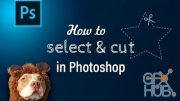 Skillshare – How to select and cut in Photoshop