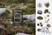 Vega House Landscape Grass & Stones 3D Models