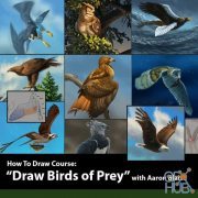 CreatureArtTeacher – How to Draw Birds of Prey with Aaron Blaise (Updated)