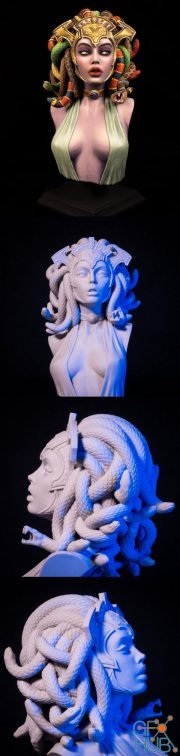 Medusa Bust