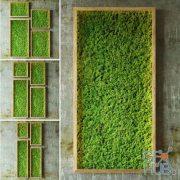 Moss green walls