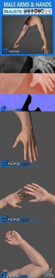 3D Adult Male Arms and Hands Rigged