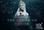 The Portrait Masters – The Power of Color to Transform Your Images