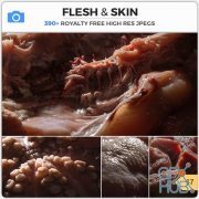 PHOTOBASH – Flesh & Skin