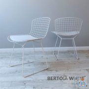 Chair BERTOIA WHITE