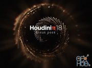 SideFX Houdini 18.5.633 Win x64