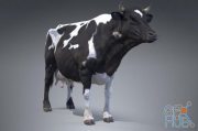 Black And White Milch Cow (PBR)