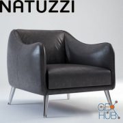 Platea Armchair by Natuzzi