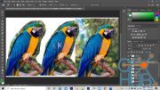 Adobe Photoshop Tutorials All Batches Classes for Beginners