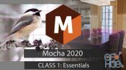Skillshare – Mocha 2020: Essentials
