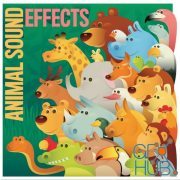 Sound Effects The Sounds of Animals Sound Effects